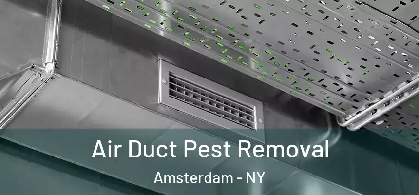 Air Duct Pest Removal Amsterdam - NY