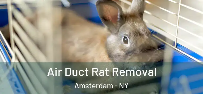 Air Duct Rat Removal Amsterdam - NY