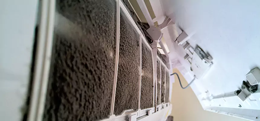 Preventive Air Duct Bacteria Removal in Amsterdam