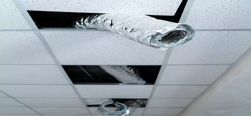 Our Air Duct Pet Hair Removal Services in Amsterdam, NY