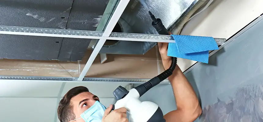 Our Air Duct Rodent Removal Services in Amsterdam, NY