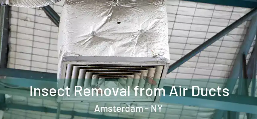 Insect Removal from Air Ducts Amsterdam - NY