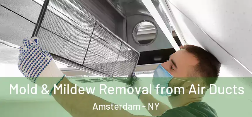 Mold & Mildew Removal from Air Ducts Amsterdam - NY