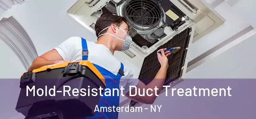 Mold-Resistant Duct Treatment Amsterdam - NY