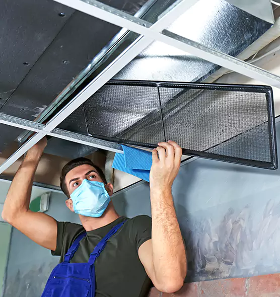 About Air Duct Bacteria Removal in Amsterdam