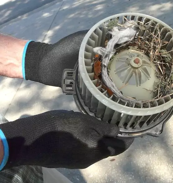 About Air Duct Rat Removal in Amsterdam, NY