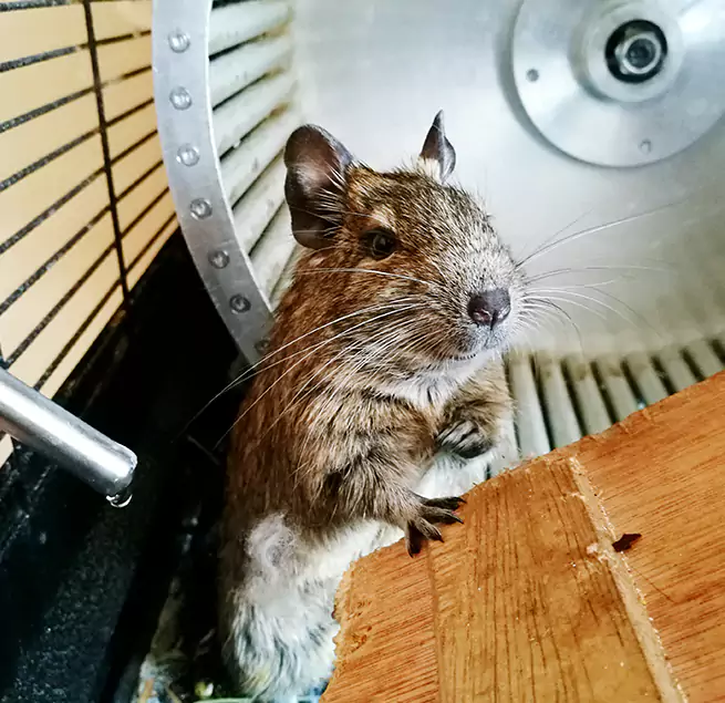 Why Homeowners & Businesses Trust Us Amsterdam, NY