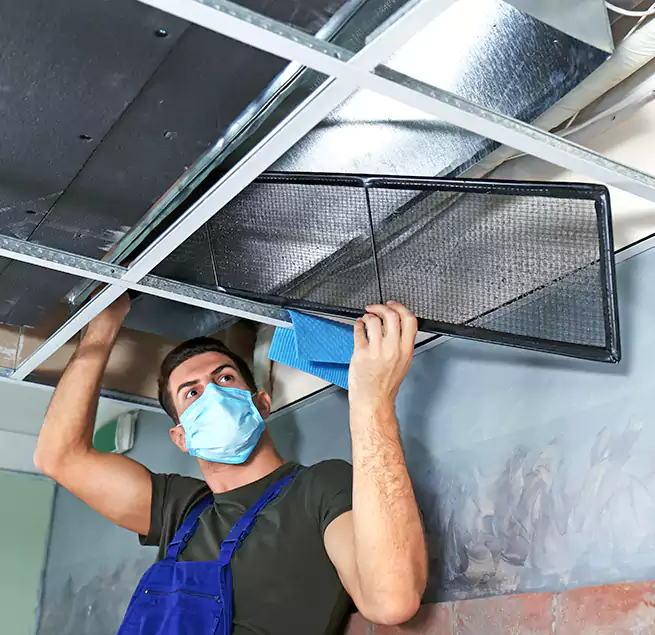 Why Homeowners Businesses Trust Us in Amsterdam, NY